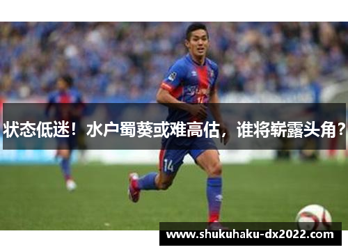 状态低迷！水户蜀葵或难高估，谁将崭露头角？